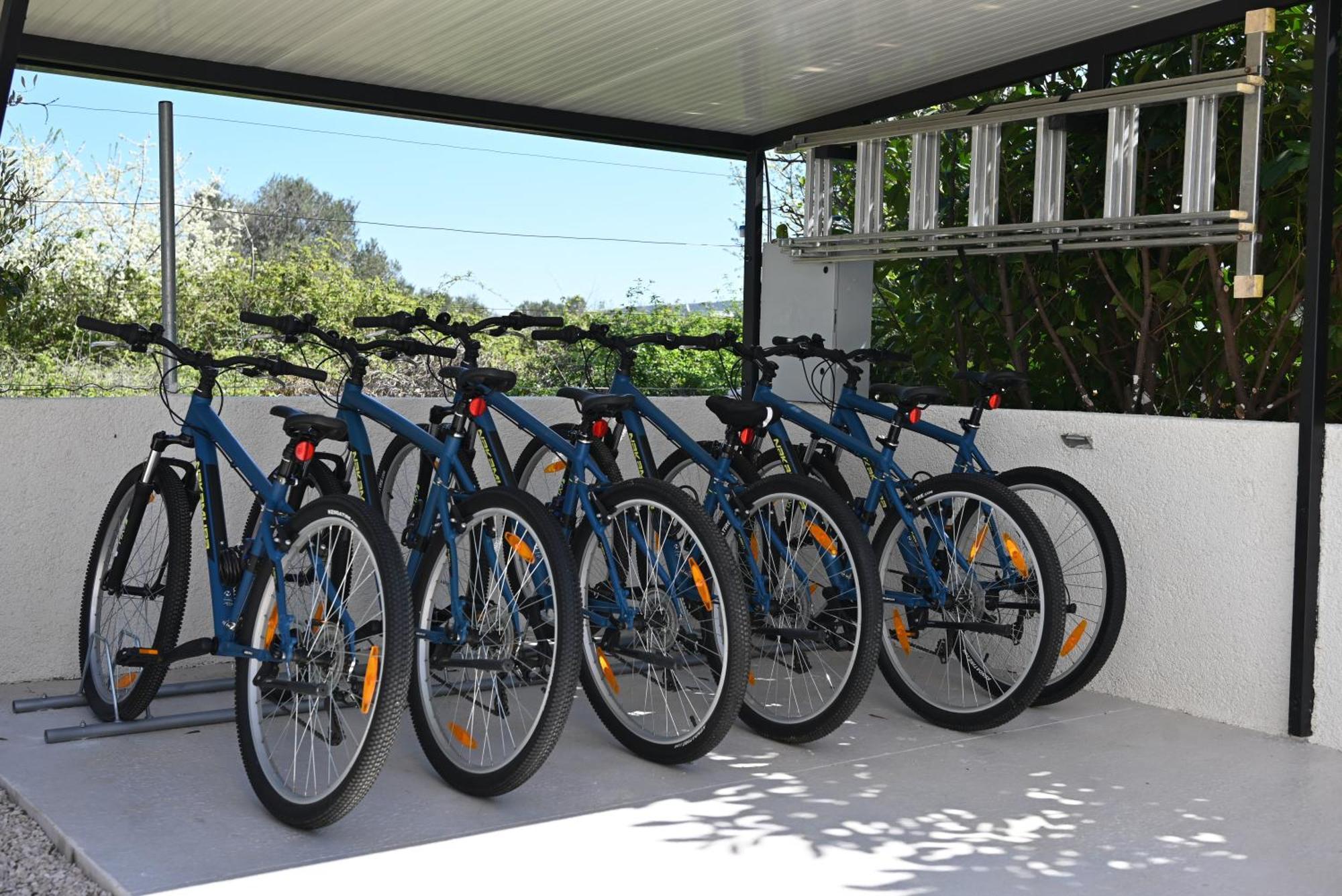 Villa Suncica With Heated Pool, Jacuzzi And Bikes Near Zadar Sukosan Exterior photo